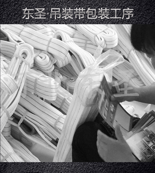 河北东圣吊索具为您提供合成纤维吊装带产品